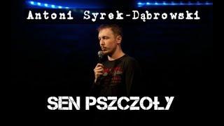 Antoni Syrek-Dąbrowski - Sen Pszczoły | Stand-up Polska