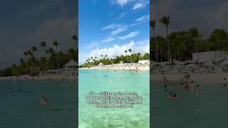 5 MUST DOs in DOMINICAN REPUBLIC Best Things to Do #dominicanrepublic