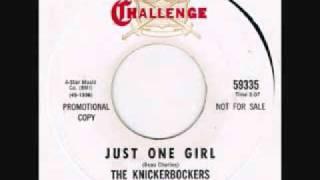 The Knickerbockers "Just One Girl"