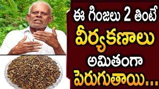 Seeds that increase Stamina in man (100% works) || Telugu Home remedies || Health tips & remedies