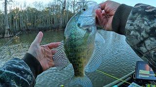 Crappie Fishing a new spot in late November.