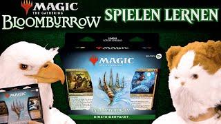 Bloomburrow Einsteigerpaket Tutorial Match | Magic the Gathering spielen lernen | Gameplay | Trader