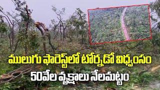 Rare Tornado Like Winds Damaged Medaram | 50,000 Trees Uprooted In Eturnagaram || Samayam Telugu