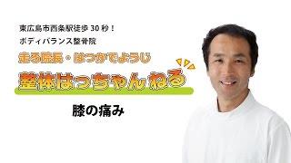 膝の痛み　東広島市西条の整体　ボディバランス整骨院