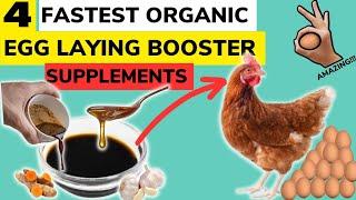 Here are THE BEST 4 ORGANIC SUPPLEMENTS TO LAYERS That Will Boost EGG PRODUCTION IN YOUR FARM.