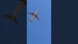 Spectacular takeoff by Virgin Australia B737-8  #aviation #airbusboeingaviation #shorts #4k