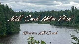 Hiking4 | Mill Creek Nature Park | Riverview | NB | Canada