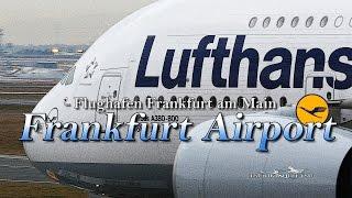 【4K】Special !! Ultra-HD 4Hour!! in Frankfurt Airport 2016 the Amazing Airport Spotting