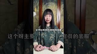 雍正王朝里的服饰细节：同为一品，张廷玉和马齐的补子为啥不一样 清代服饰 雍正王朝 补服 文化
