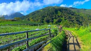 INDAHNYA SEMPURNA , SERASA DI SWITZERLAND SWISS JIKA BERKUNJUNG KE KAMPUNG INI