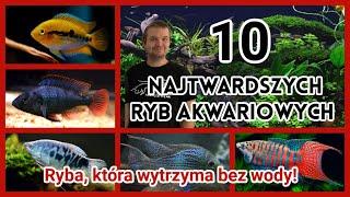 10 MEGA ŁATWYCH RYB Akwariowych 