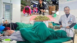 Life stabilizes after separation: Planting vegetables and harvesting ambarella with Bun & Bin