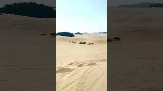 Oregon Dunes!!! #sand #offroad #dirtbike