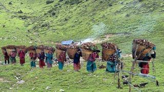 The Determined Lifestyle of Hardworking Nepali Mountain Villagers || simple lifestyle Nepal