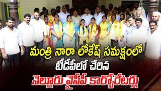 మంత్రి నారా లోకేష్ సమక్షంలో టీడీపీలో చేరిన నెల్లూరు వైసీపీ కార్పోరేటర్లు | Minister Nara Lokesh