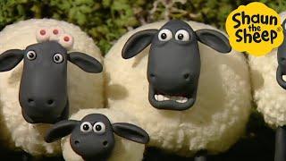 Shaun the Sheep  SHOCKED SHEEP! - Cartoons for Kids  Full Episodes Compilation [1 hour]