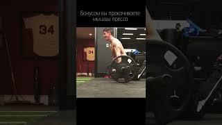 КАК НАКАЧАТЬ ТРИЦЕПС #кавальер #джеффкавальер #shorts #атлетизм #джеффкавальер #кавальер #грудных