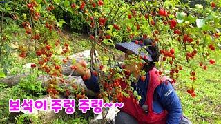 The reason why mountain villages are so nice! A daily life like a shiny gem