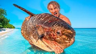 Giant SUN Fish Catch and Cook Living From The Ocean