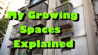 Growing Food In Small Spaces | My balcony garden explained inside out