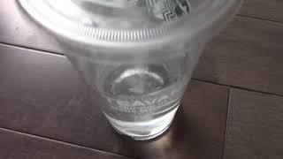 Review VIVA Hydrogen Water H2 Tablets Taste Test