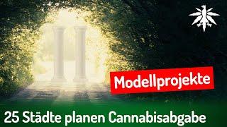 25 Städte planen Cannabisabgabe | DHV-News # 432