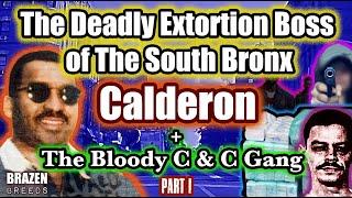 The Deadly Extortion Boss of The South Bronx: Calderon + The C & G Gang, Pt.1 | Hustler Street Tax