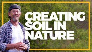 What Creates More Soil in Nature Than Anything Else?