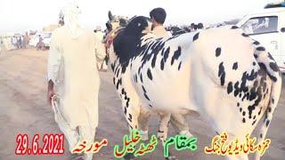 Hamza Sky Video Fateh Jang