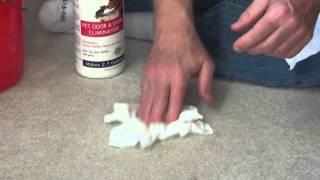 How to Remove Pet Stains from Carpet