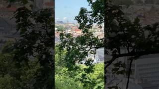 Lviv / Львів #lovelviv