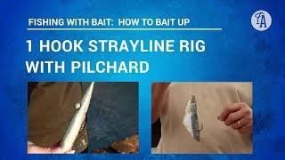 BAIT FISHING: How to put PILCHARD bait on one hook STRAYLINE rig (3 ways)