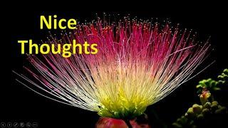 Nice Thoughts / Life changing words  / Roopa venkat nature lovers / Manchi matalu/ Sukthulu