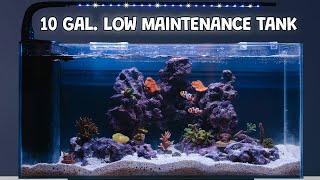 Fish Tank Maintenance: How to Have a Nearly Maintenance Free Tank! JBJ Rimless Tank Set up and Build