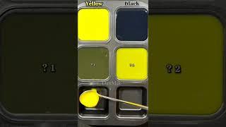Guess The color ?