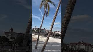 #shorts  Beach at Polynesian Resort, Disney World, Orlando, FL. #travel #florida #orlando #resort