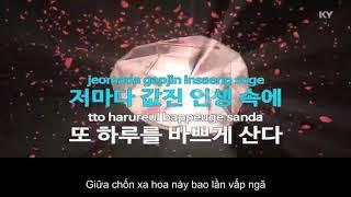 Gạo nếp gạo tẻ OST -  Đi tìm tình yêu - Karaoke