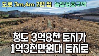 청도 3억8천만원토지가 1억3천만원대로 끝없이 추락한 경매토지