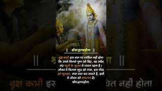 Geeta ka gyan #mahabharat #krishna #motivation #vital #viralshort #shorts #story #geeta