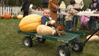 Cinnamon Family Pumpkin Fest 2024