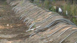 East Idaho water curtailment could soon be lifted