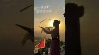 今天 指南宮 太美