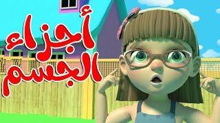 أغنية أجزاء الجسم - Head shoulders knees and toes in arabic