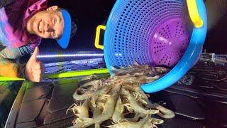 NIGHT Shrimping Fishing Camping on my Boat! [Catch n' Cook}