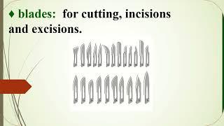 Cutting and Dissecting Instruments