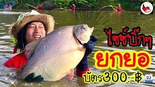 ยกยอ ได้ปลารวม100กิโล ►Fishing lifestyle Ep.291