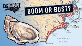 How Oysters Can Save Dying Coastal Towns