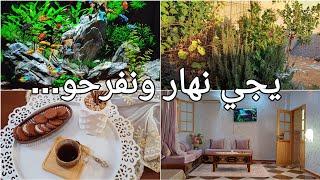 وليداتي كبرو/واحد ماصابها كيما بغاها/طابع منعنع بريحة القارصيجي نهار ونفرحو/نصيحة بنت شلف والعالمية