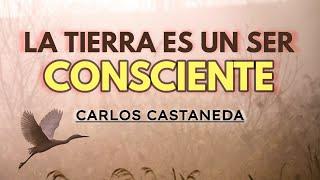 La TIERRA es un ser CONSCIENTE | C. Castaneda | Español latino, voz humana