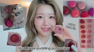 The Viral fwee pudding pot Lip & Cheek Review and Swatches: Latest Kbeauty makeup trend